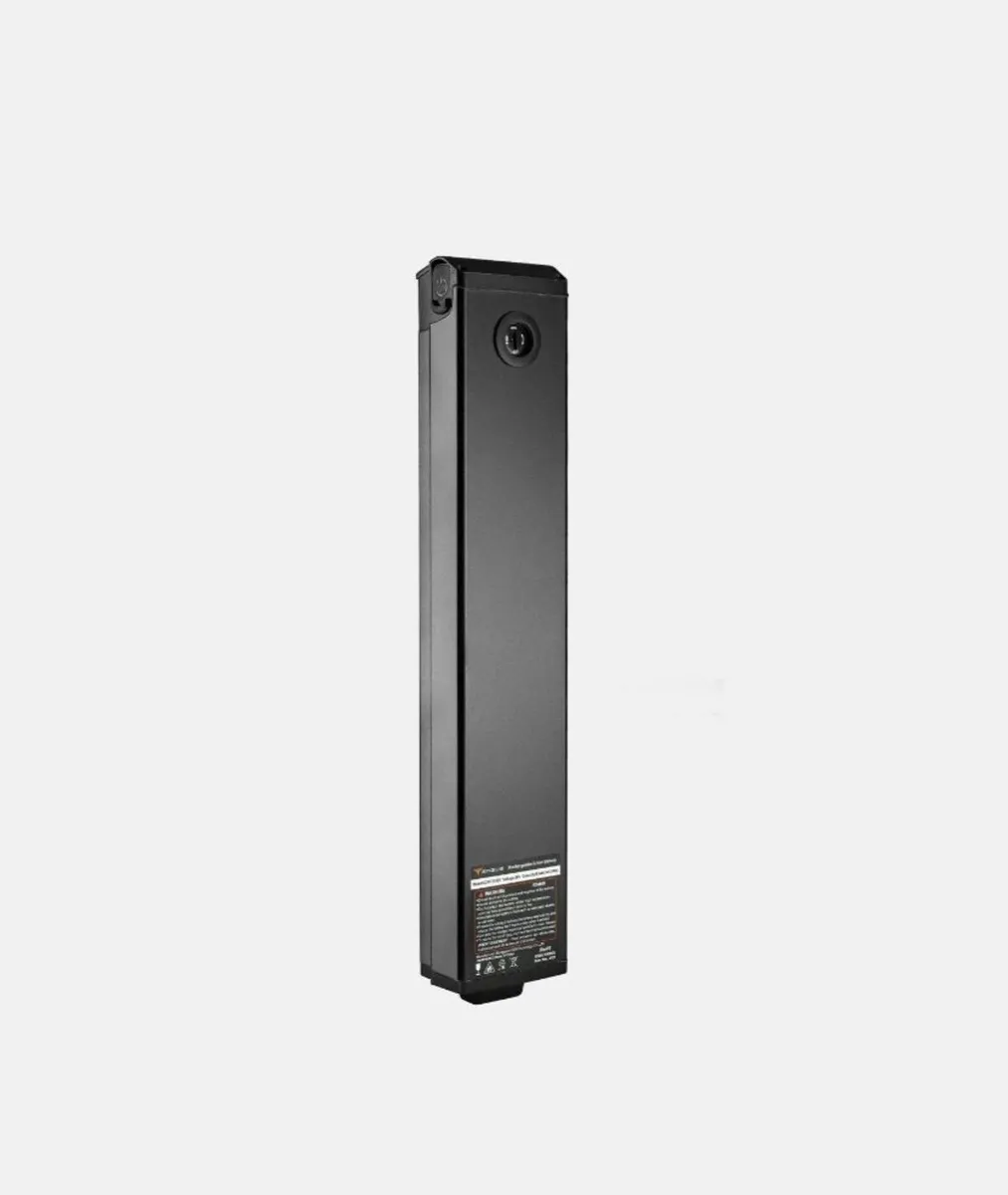 Electric Bike Battery - Image 1