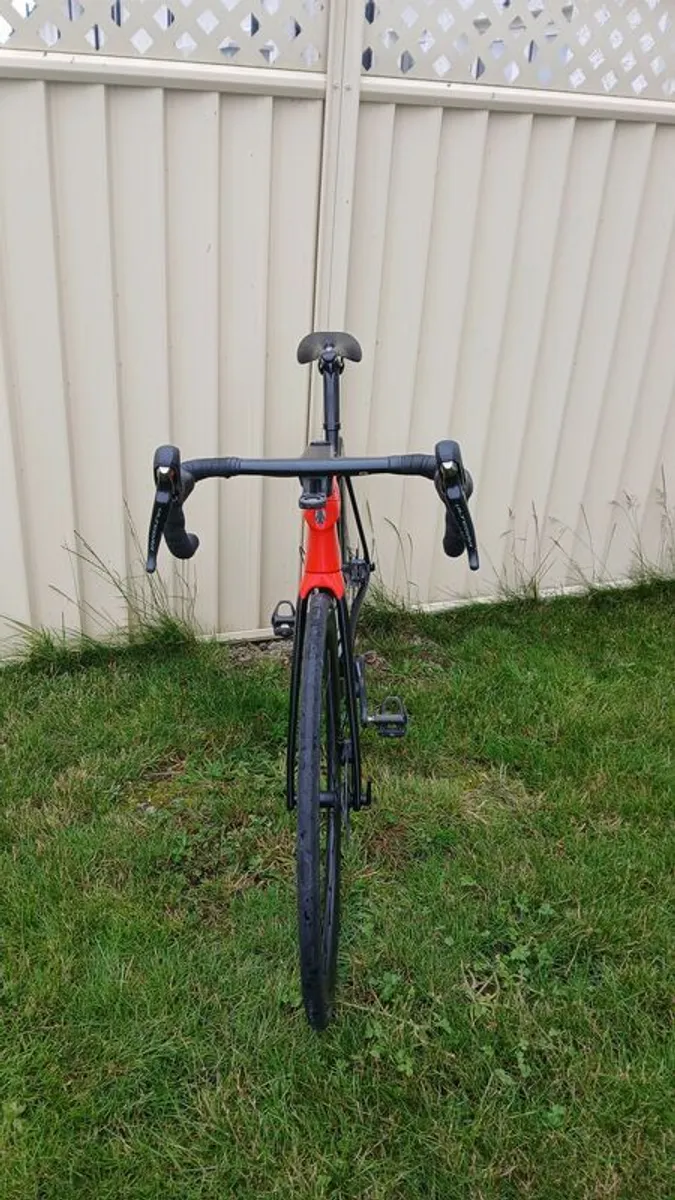 Trek Emonda SL6 Pro, 54cm - Image 4