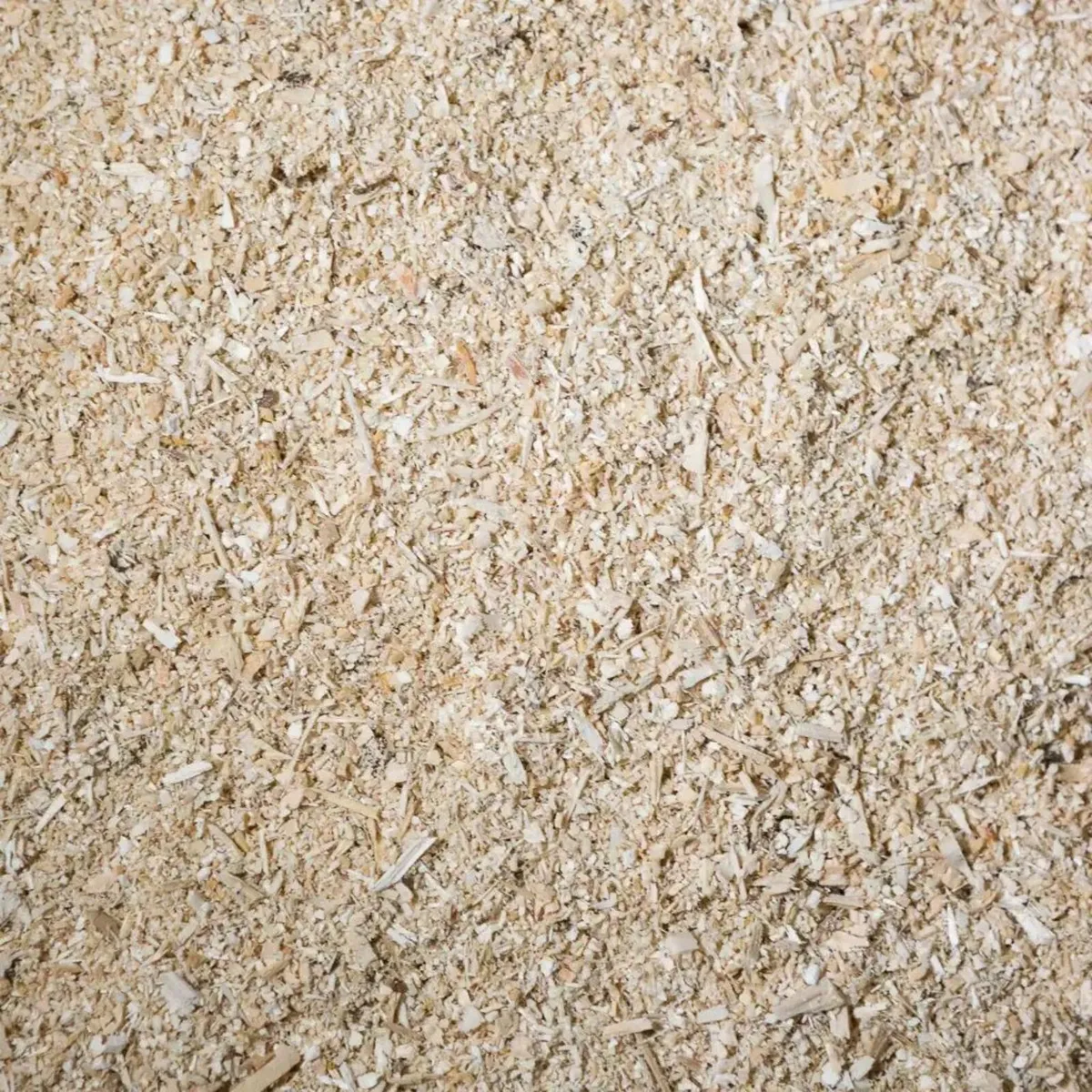 Sawdust - Image 2