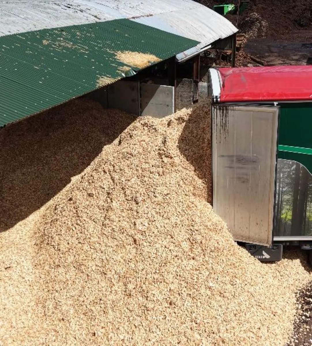 Sawdust - Image 1