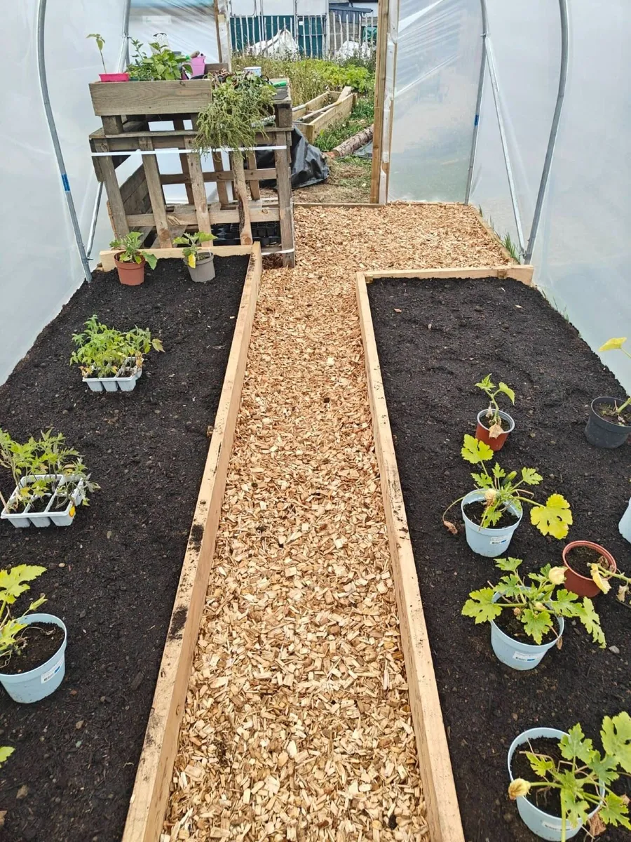 Pathway Wood Chip - Image 2