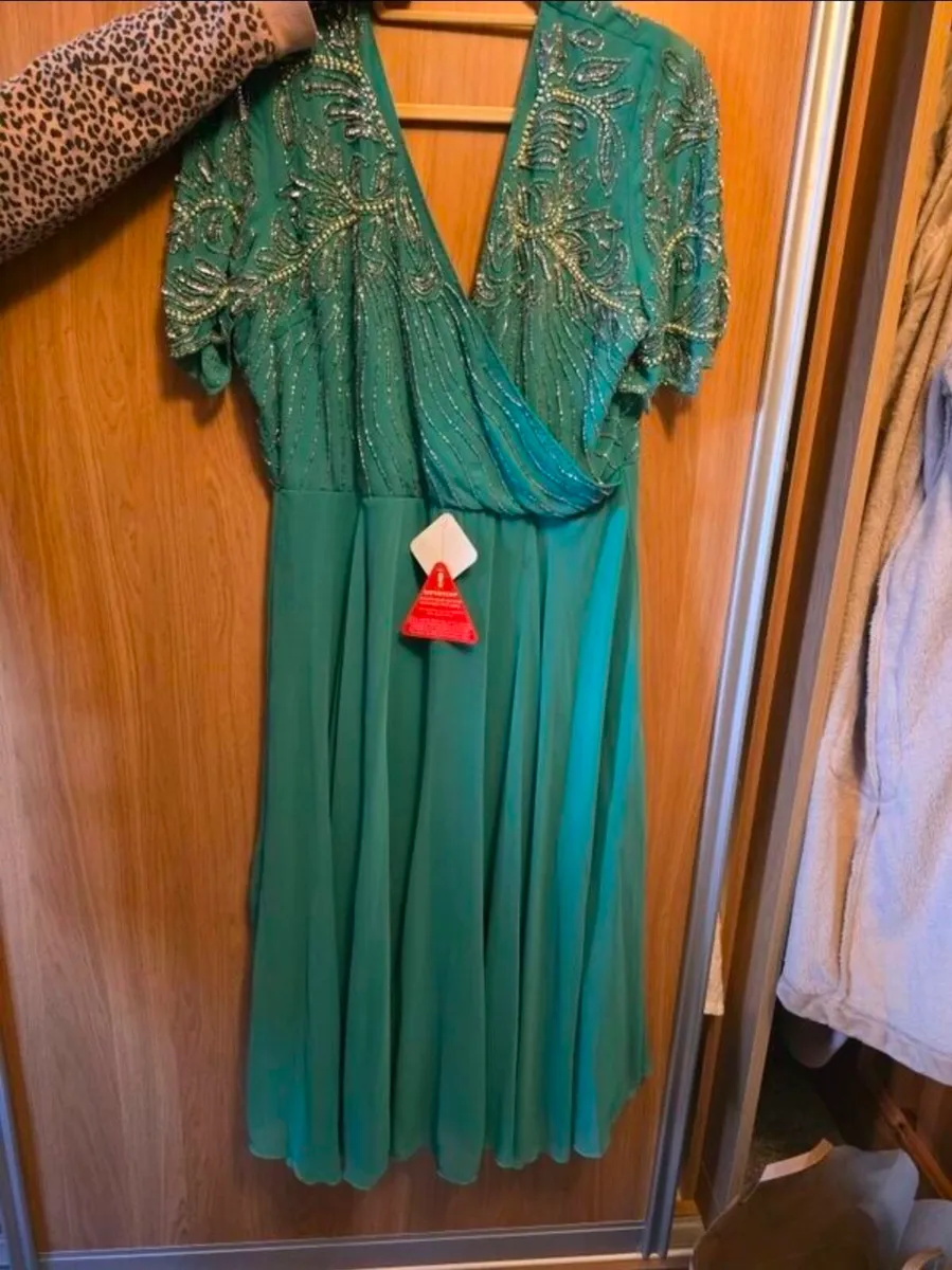 Beautiful green Amber embellished dress (18)  BNWT - Image 1