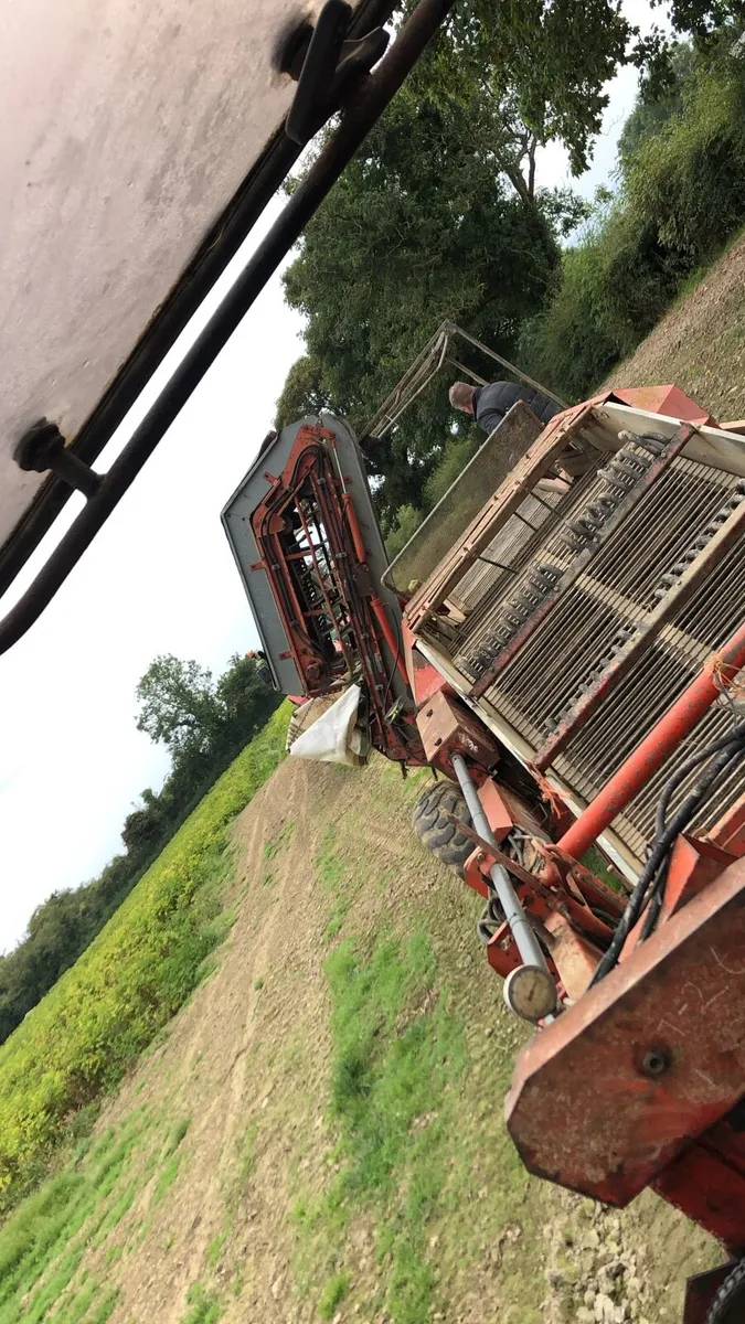 kverneland 2200 potato harvester - Image 1