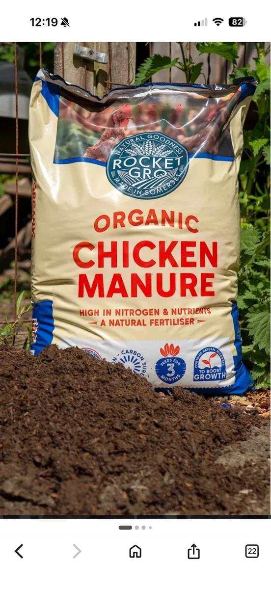 Hen dung - Image 2