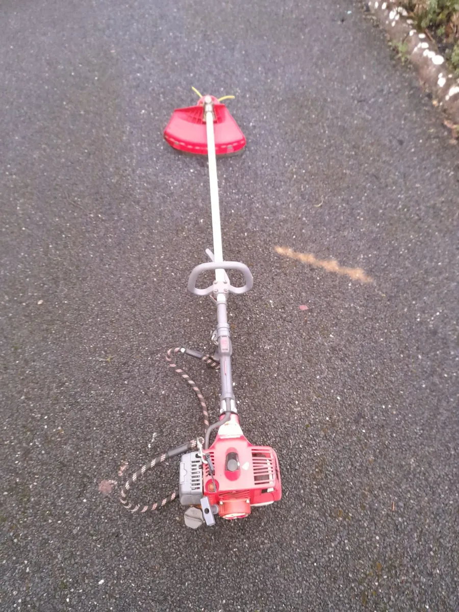 Grass strimmers - Image 1