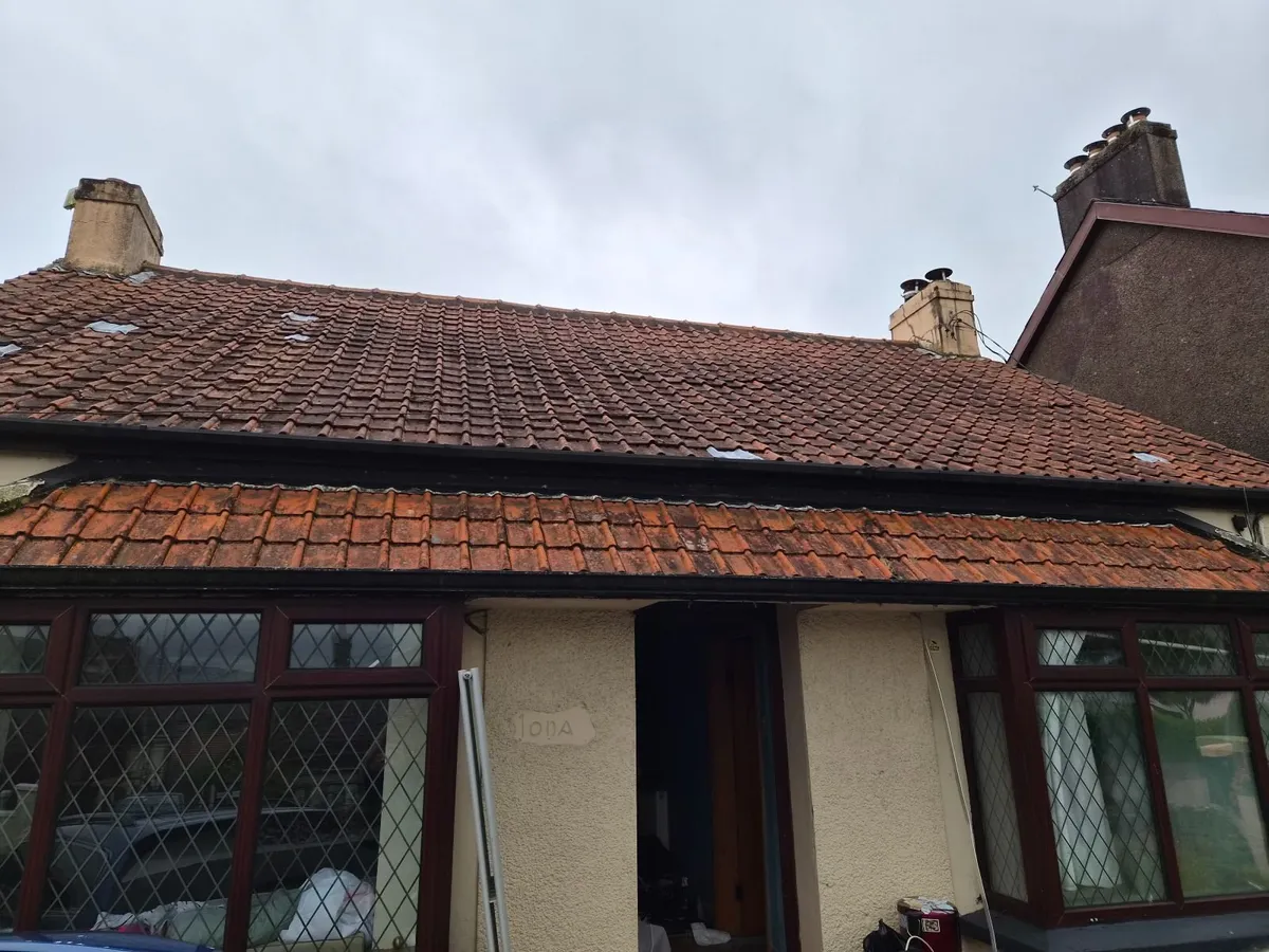 Roof tiles - Image 2