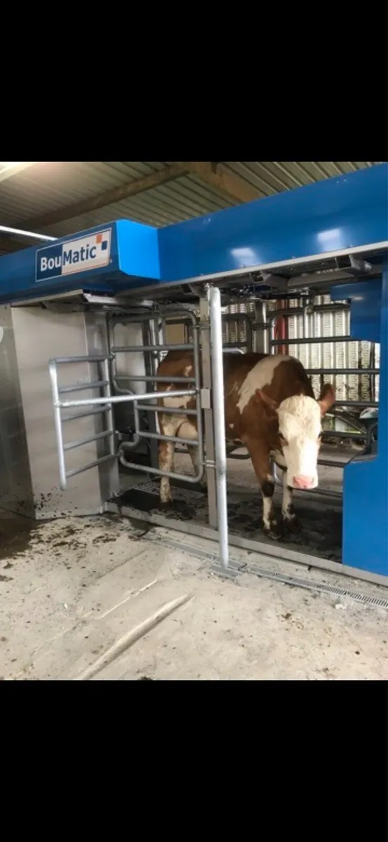Robotic milking machine - Image 4