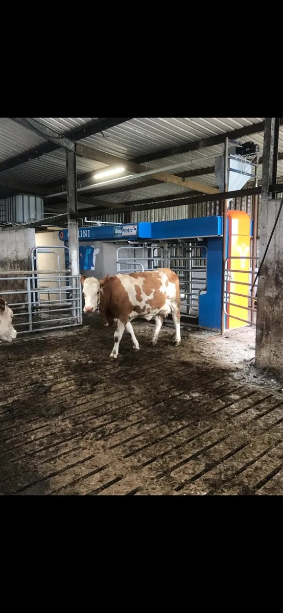Robotic milking machine - Image 1