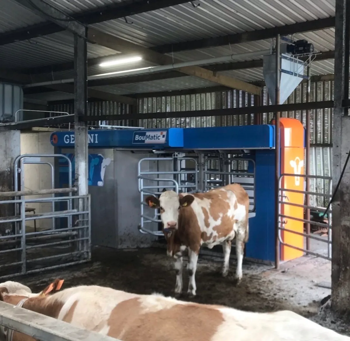 Robotic milking machine - Image 3