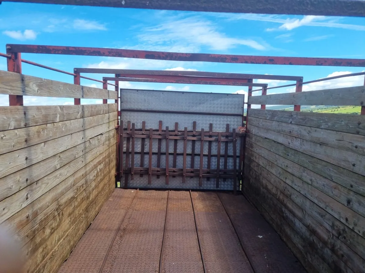 cattle trailer - Image 4