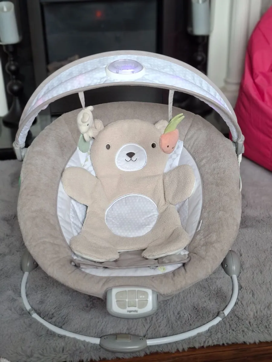 Baby Swing and Bouncer - Image 2