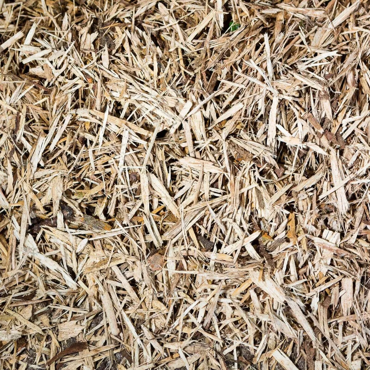 Equestrian Wood Fibre - Image 1