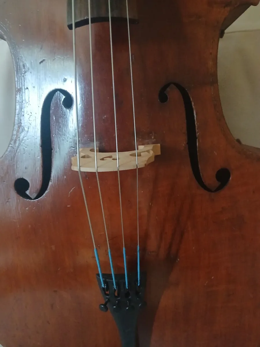 Cello - Image 2