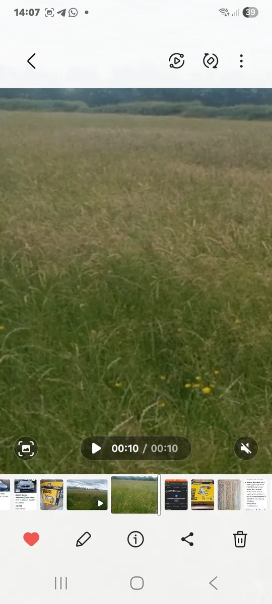 Meadows..ready for cutting - Image 1
