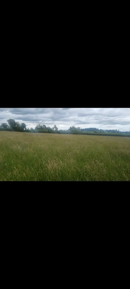 Meadows..ready for cutting - Image 2