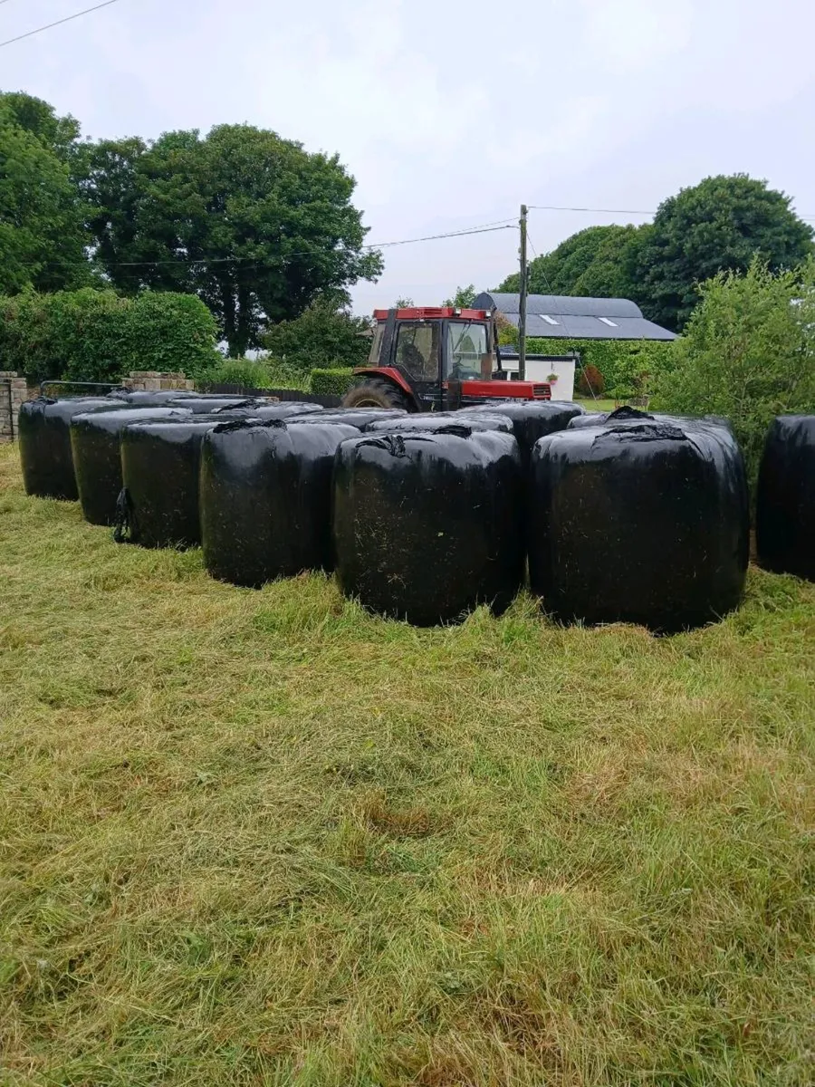 Round bales of silage