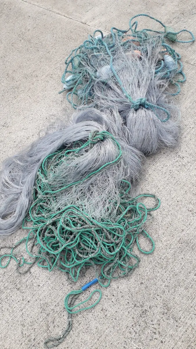 Nets - Image 1