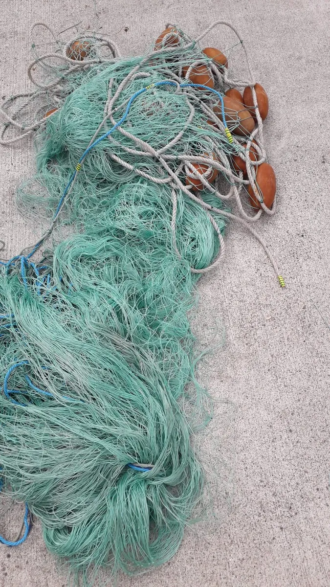 Nets - Image 2