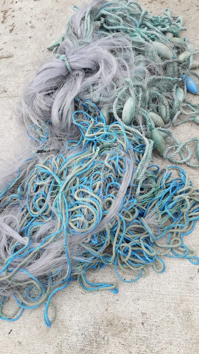 Nets - Image 3