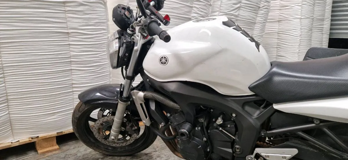 Yamaha fz6n naked - Image 4