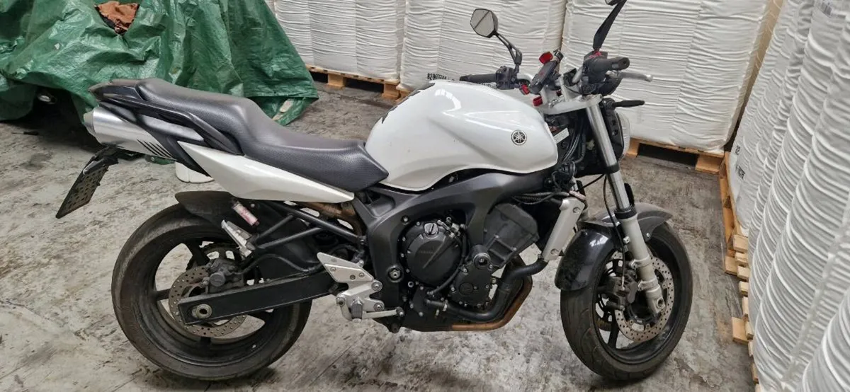 Yamaha fz6n naked - Image 1