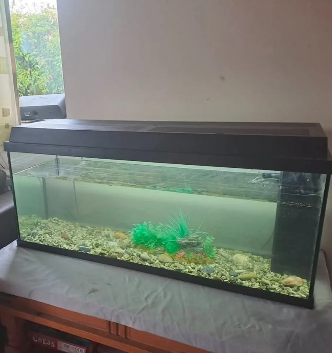 Jewel fish tank
