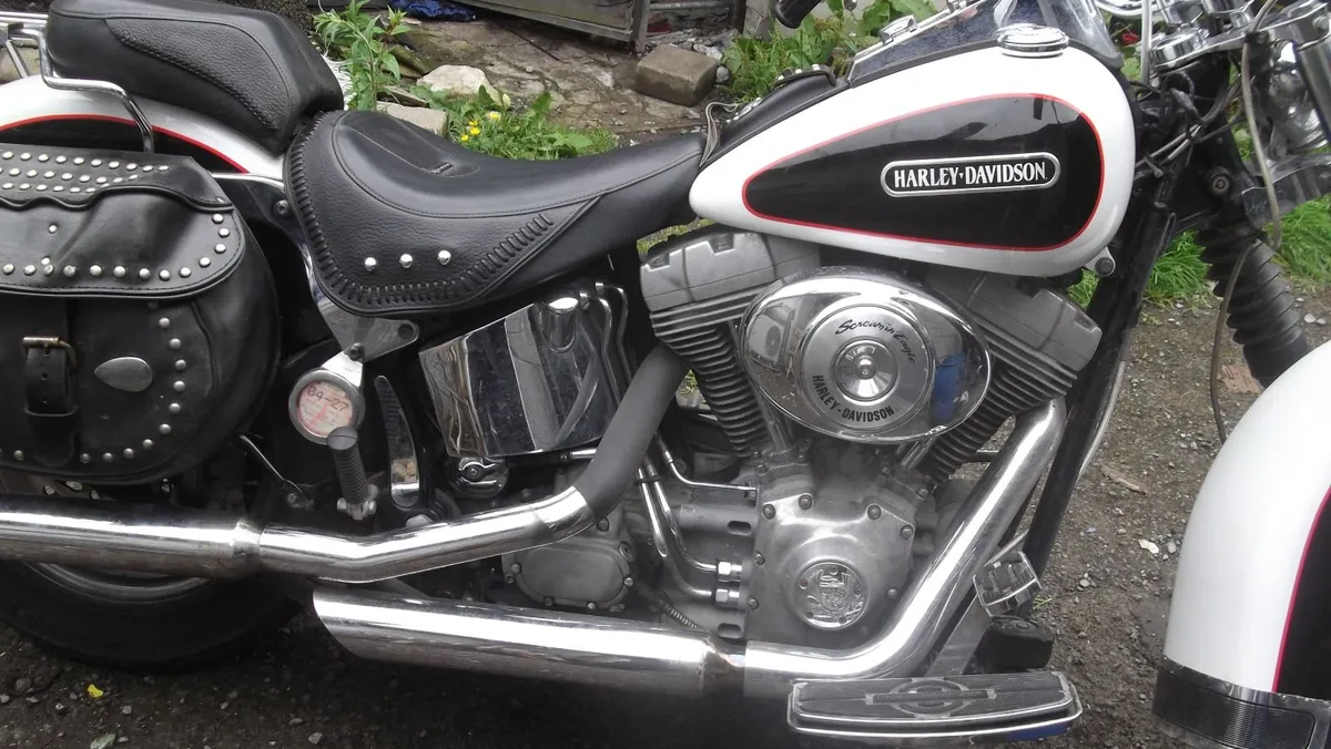 2 HARLEY DAVIDSON .A  SPRINGER &softail .TRADE UP - Image 4