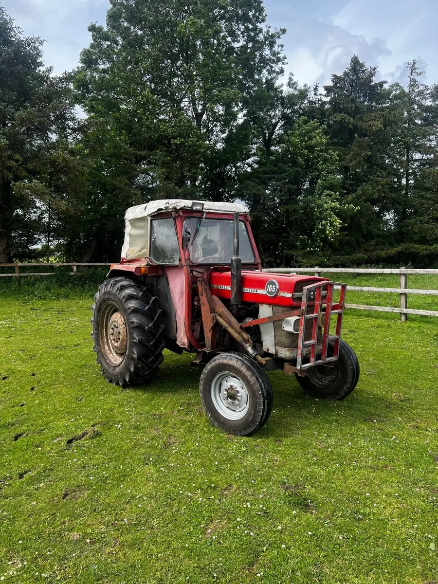 Massey Ferguson 165 - Image 1