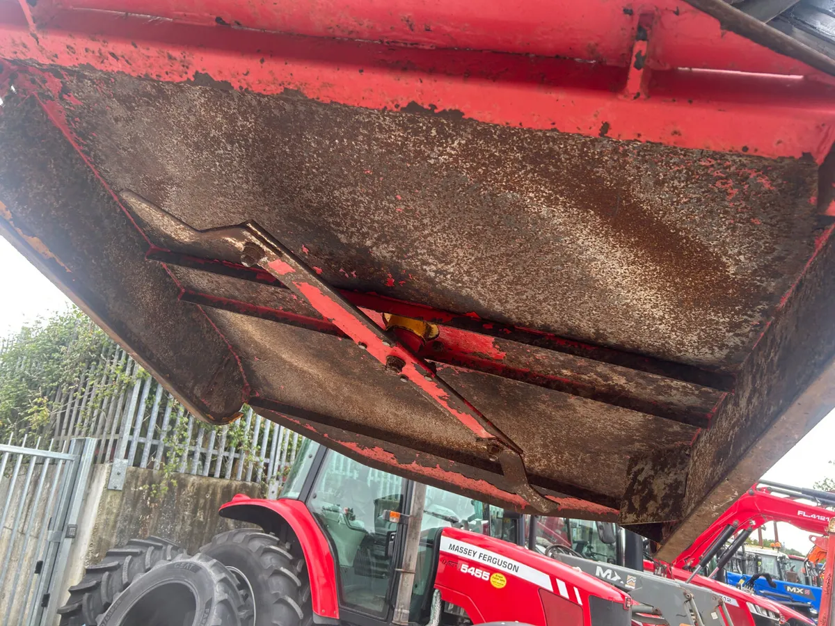 Teagle 4FT Topper - Image 2