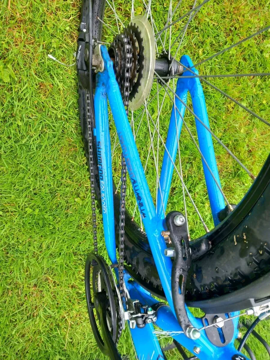 Bike - Image 4