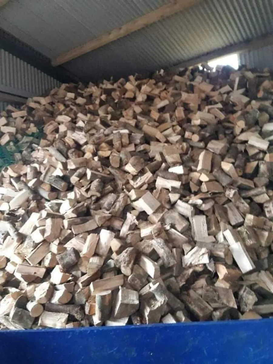 Firewood - Image 2