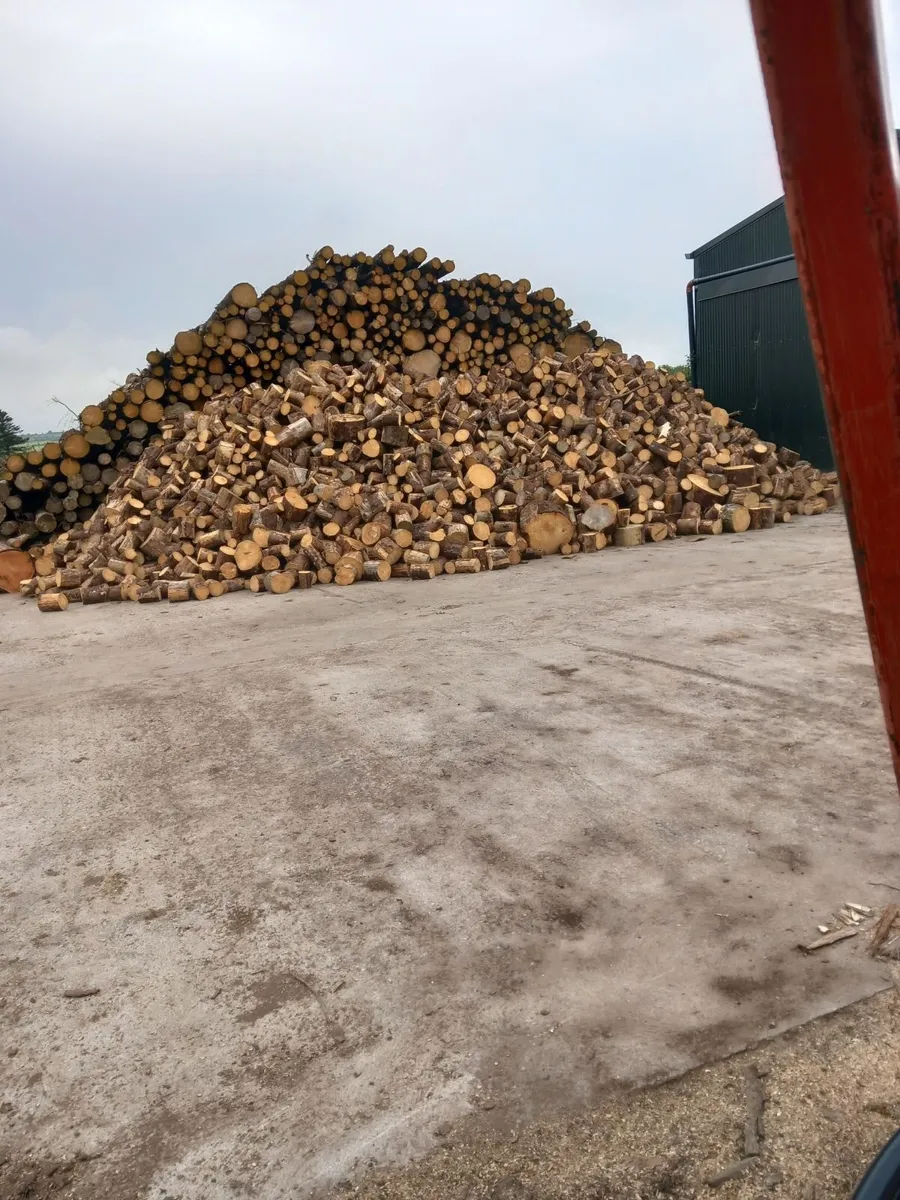 Firewood - Image 4