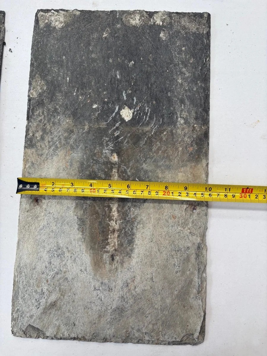 Blue Bangor slates - Image 3