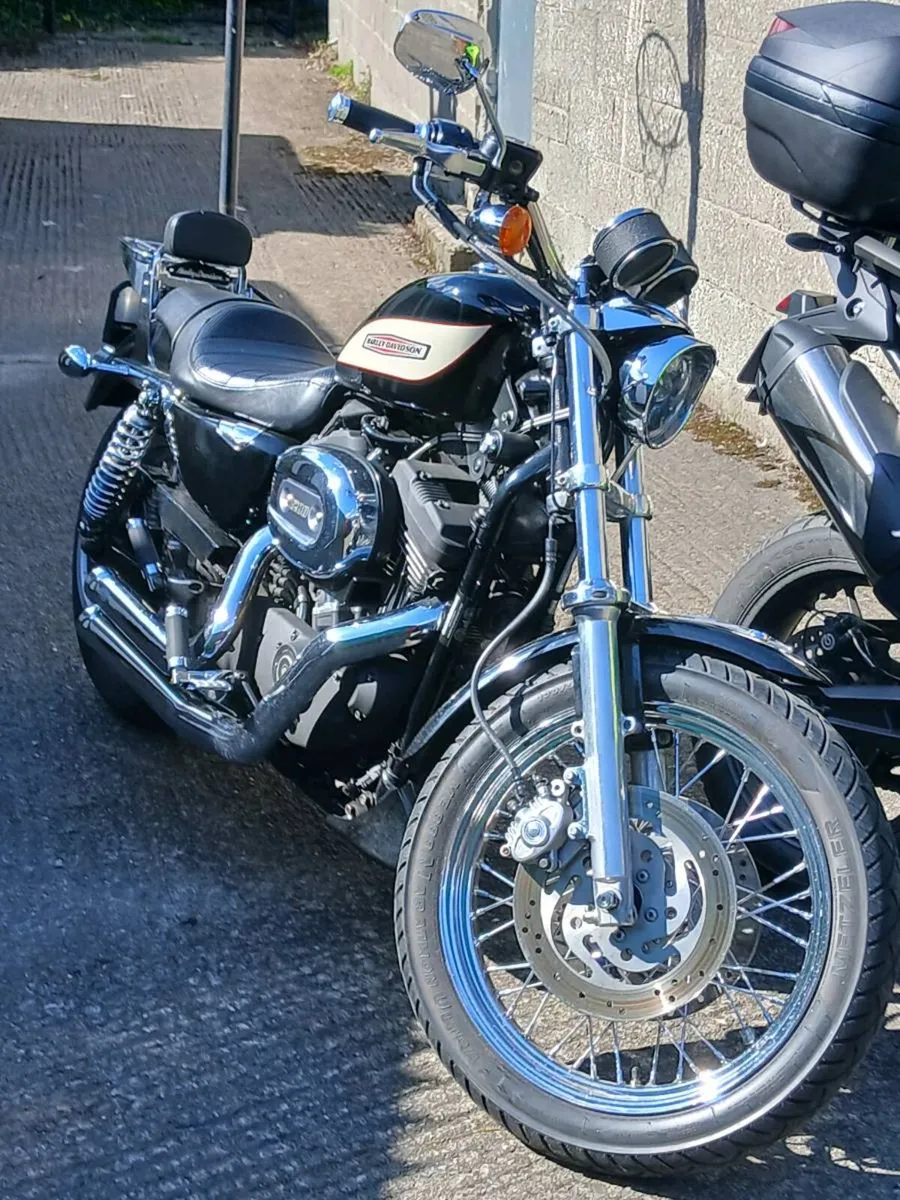 XL1200R Sportster Roadster - Image 1