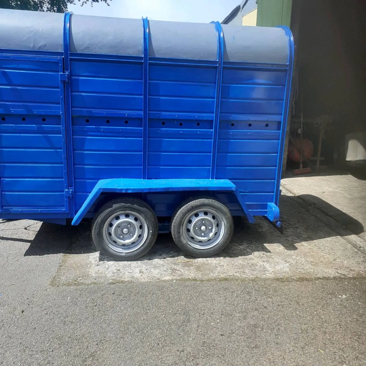 cow box - Image 2