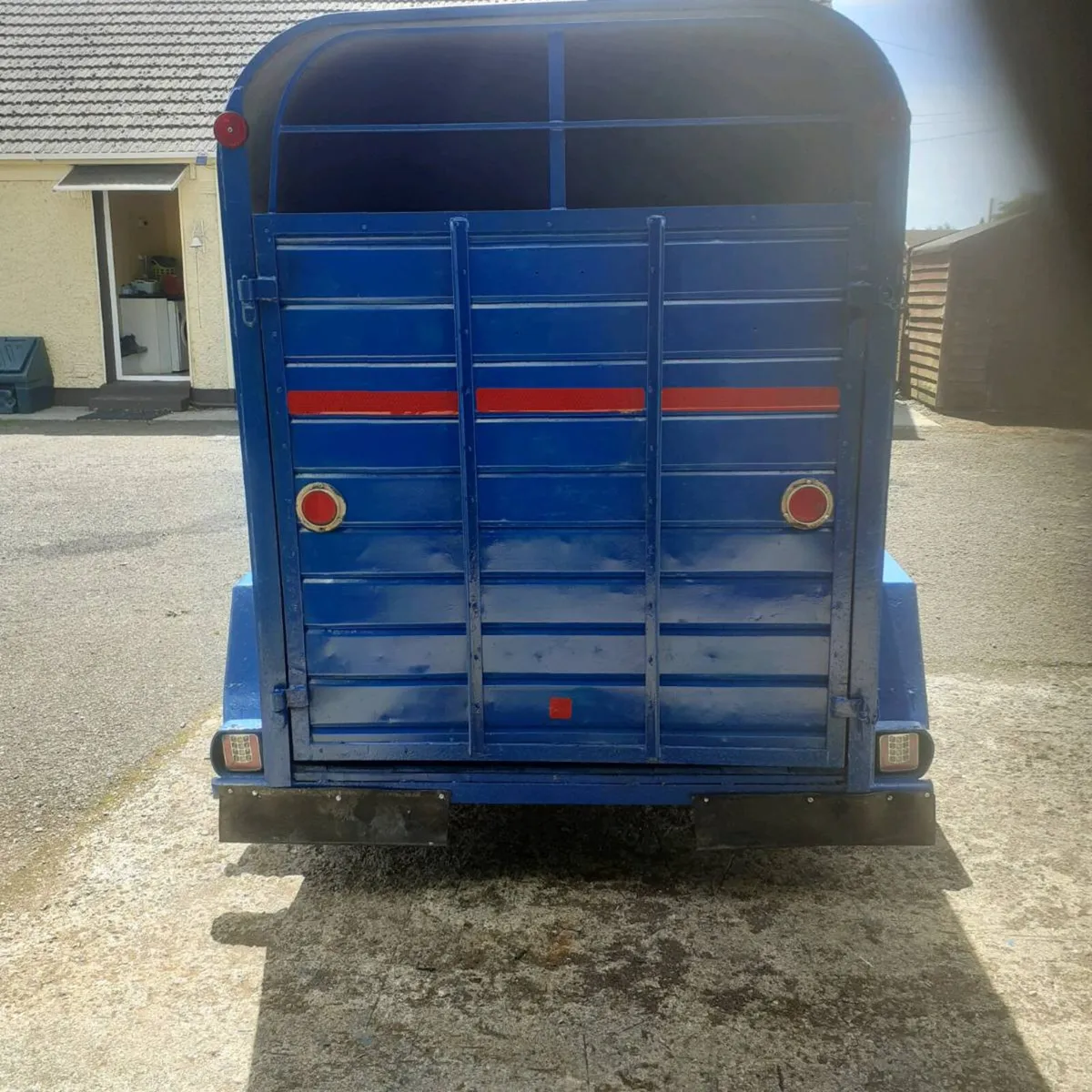 cow box - Image 4
