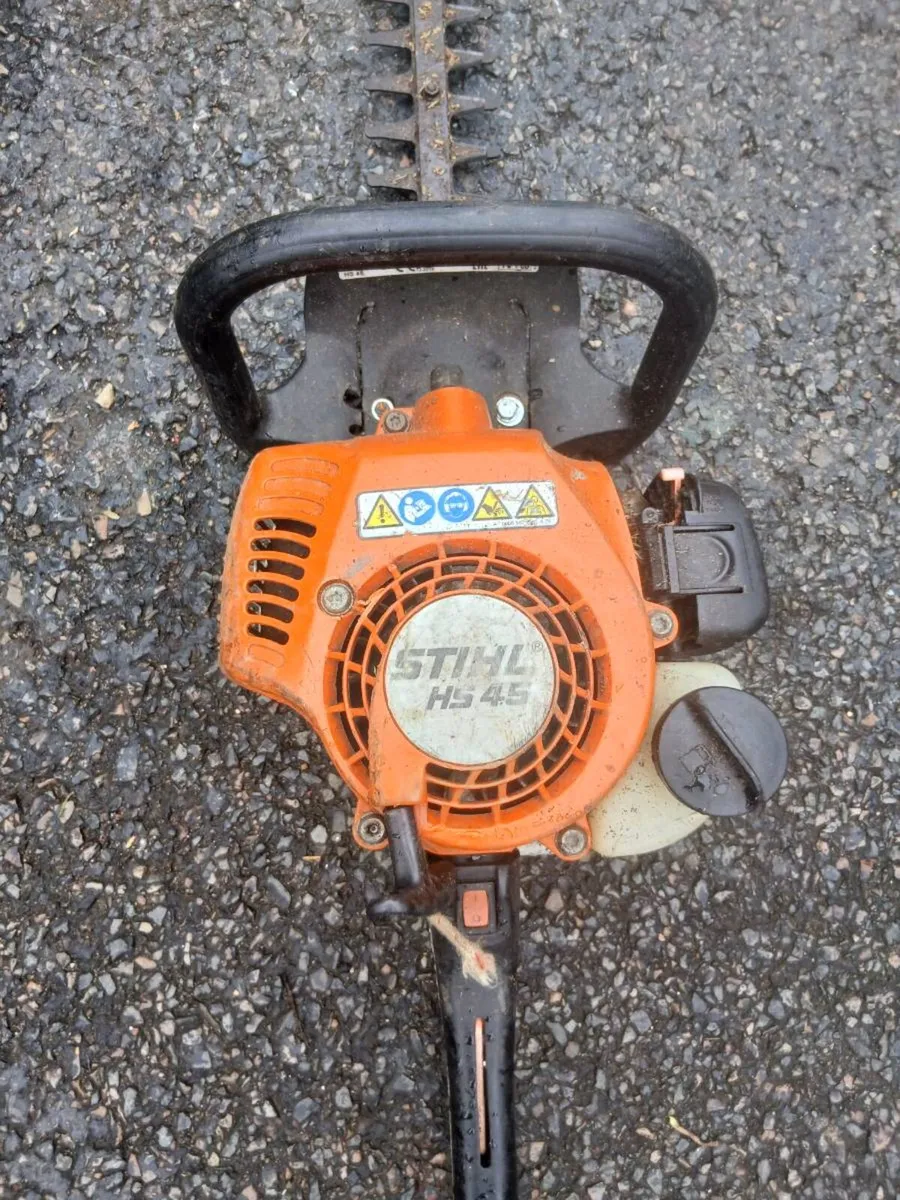 Still hedge Strummer. - Image 1