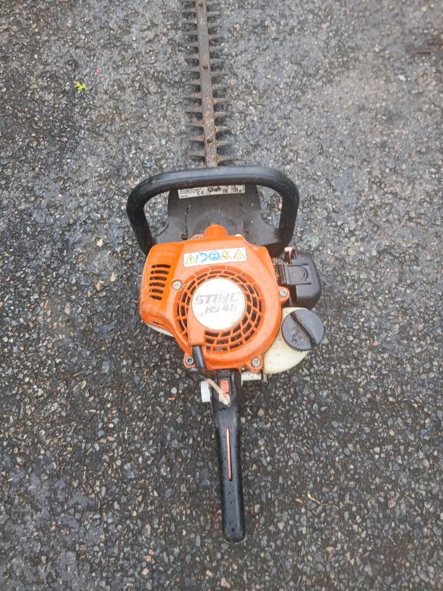 Still hedge Strummer. - Image 2
