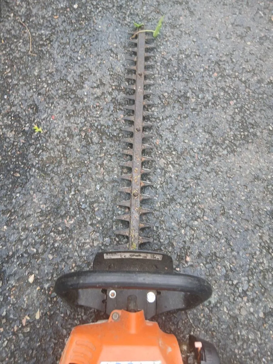 Still hedge Strummer. - Image 3