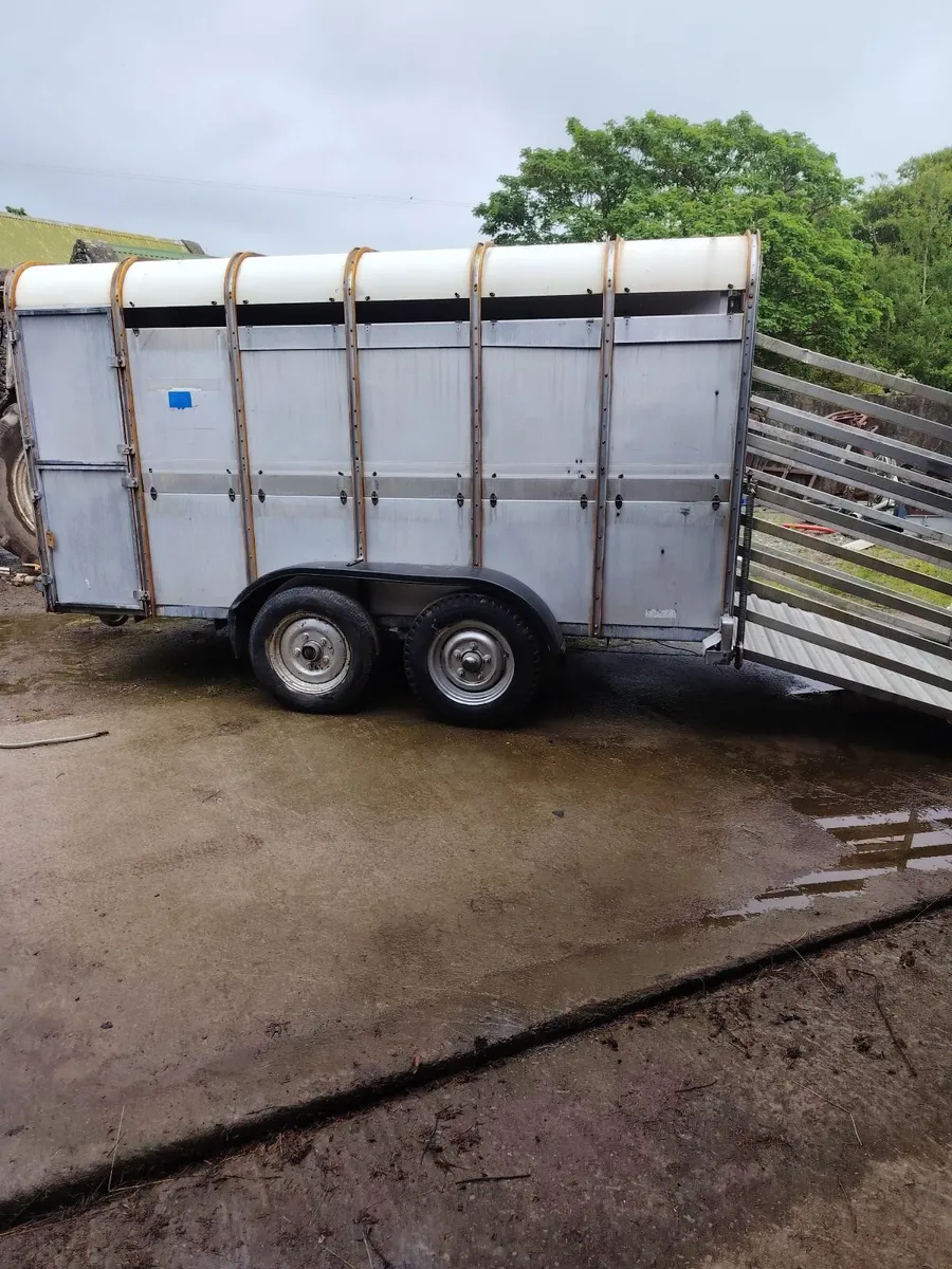 Ivor Williams 12 by 6 cattle trailer - Image 1