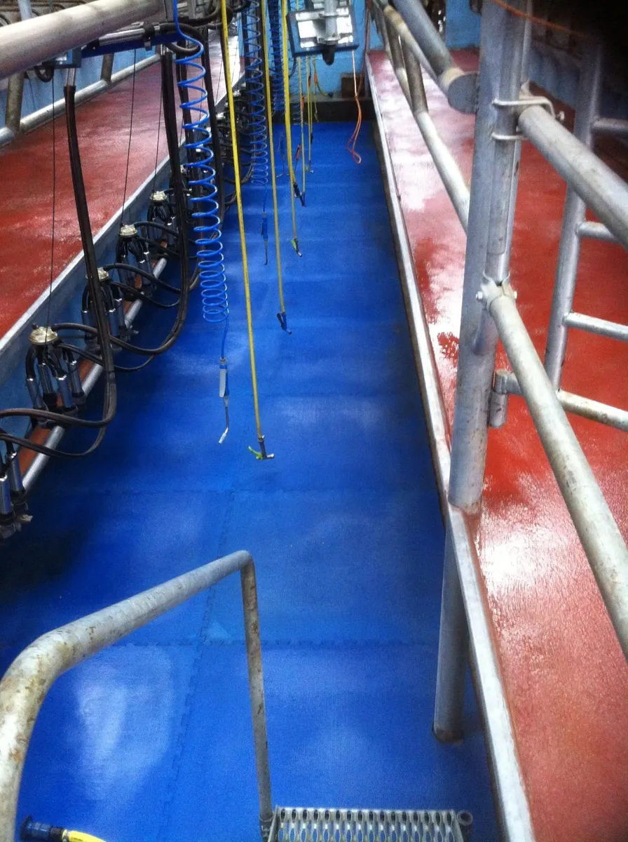 Parlour Pit Mats for sale at FDS - Image 2