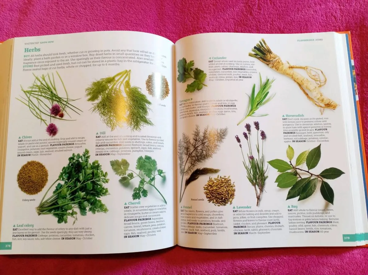 MasterChef Kitchen Bible - Home Economics Book - Image 4