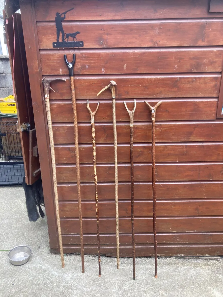 Walking/hiking sticks - Image 1