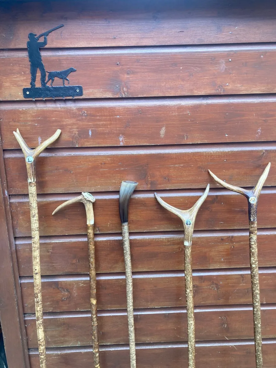 Walking/hiking sticks - Image 2