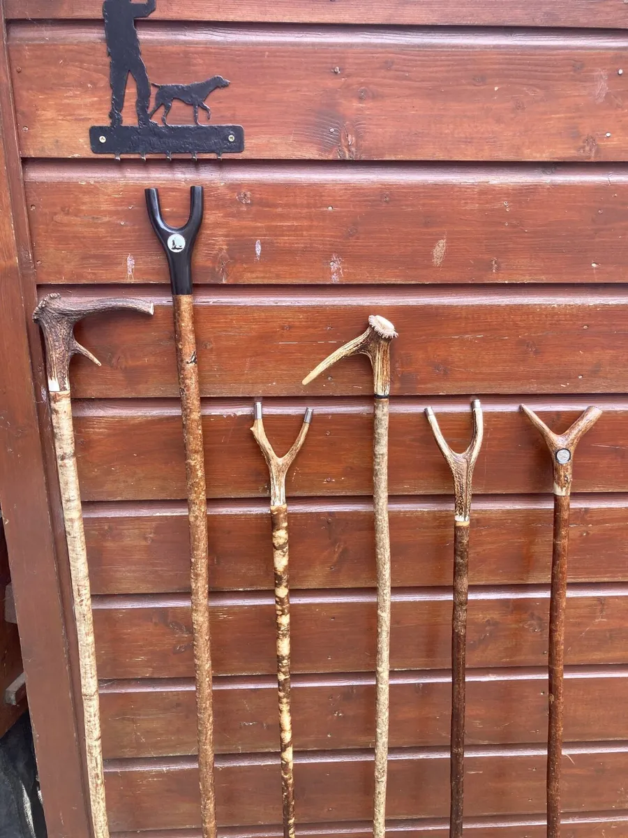Walking/hiking sticks - Image 3