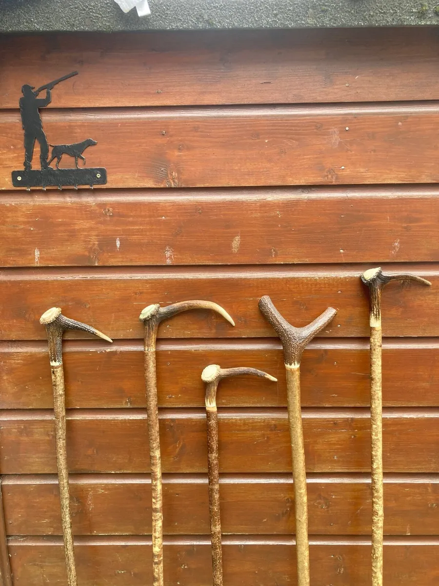 Walking/hiking sticks - Image 4