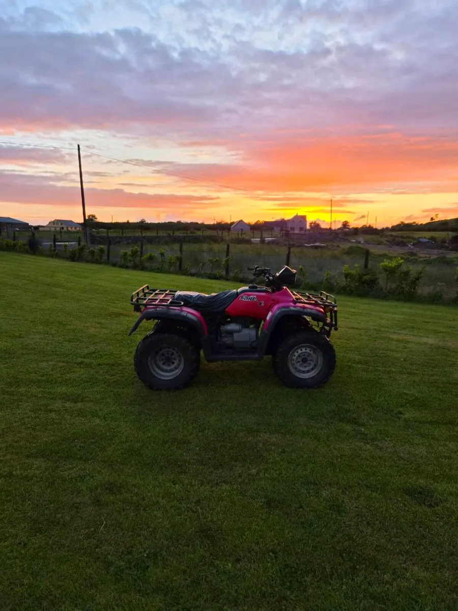 2004 Honda TRX 450es foreman - Image 3