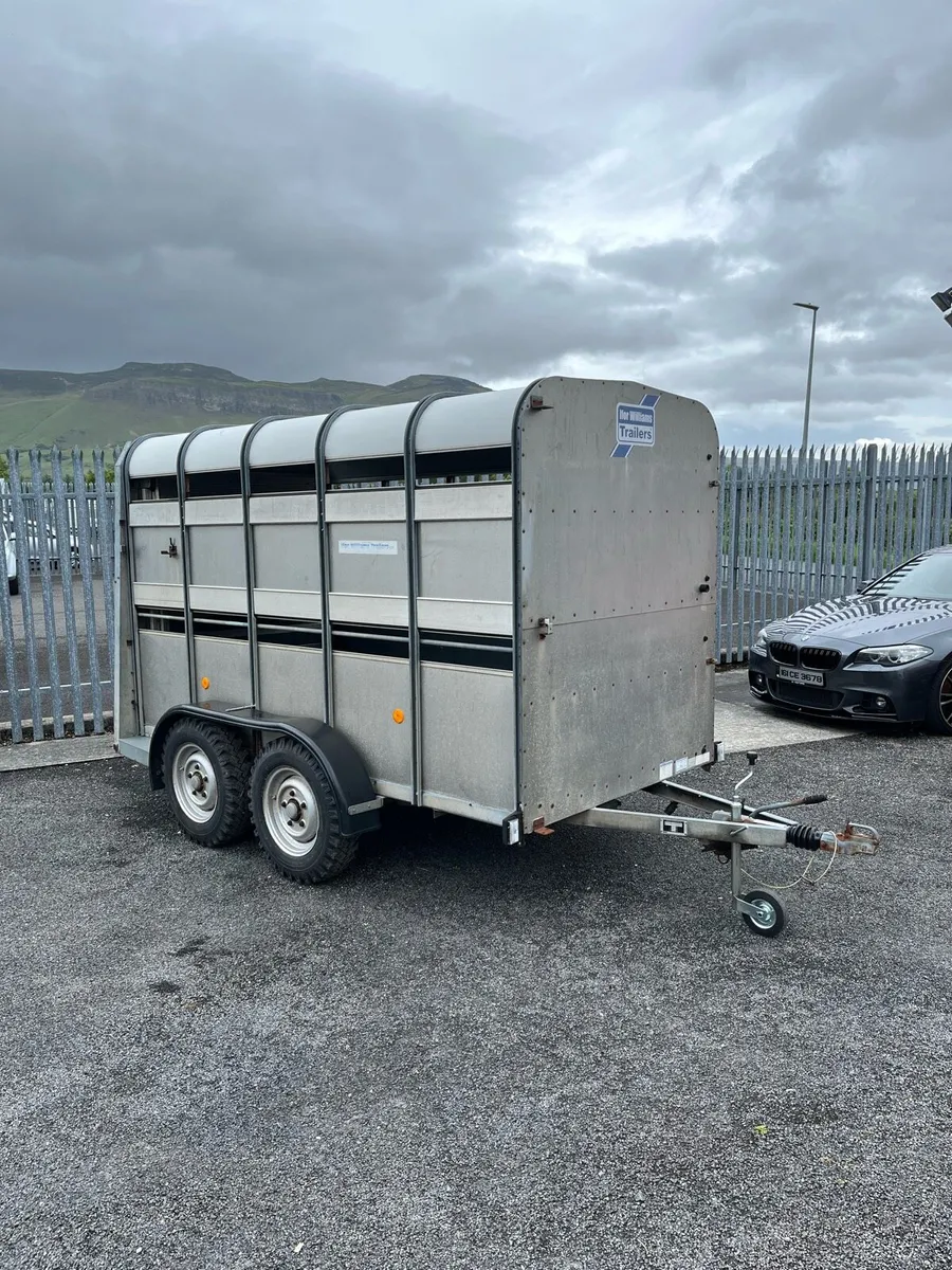 Ifor Williams Sheep Trailer - Image 2