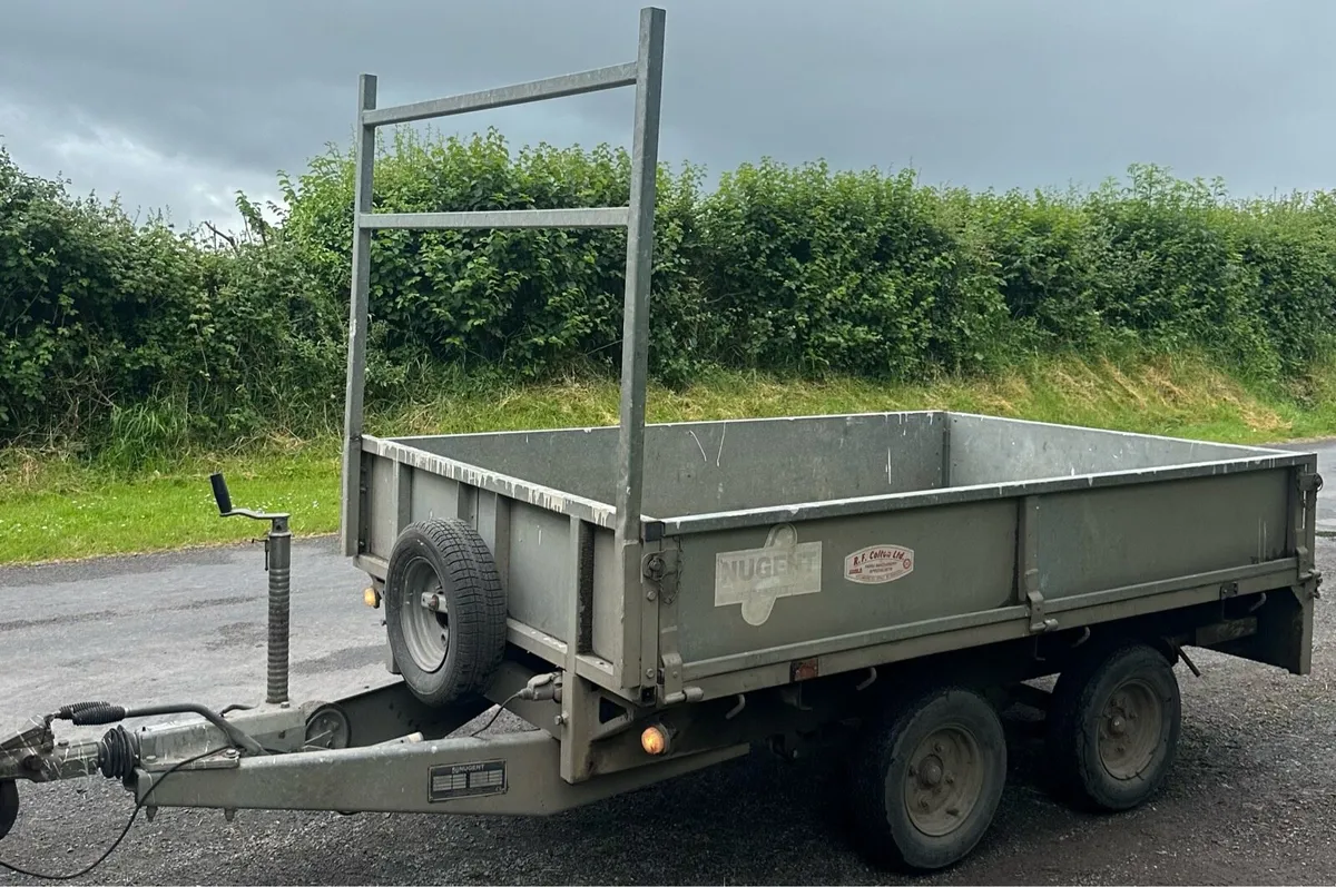 8 x 5 Nugent Trailer - Image 1