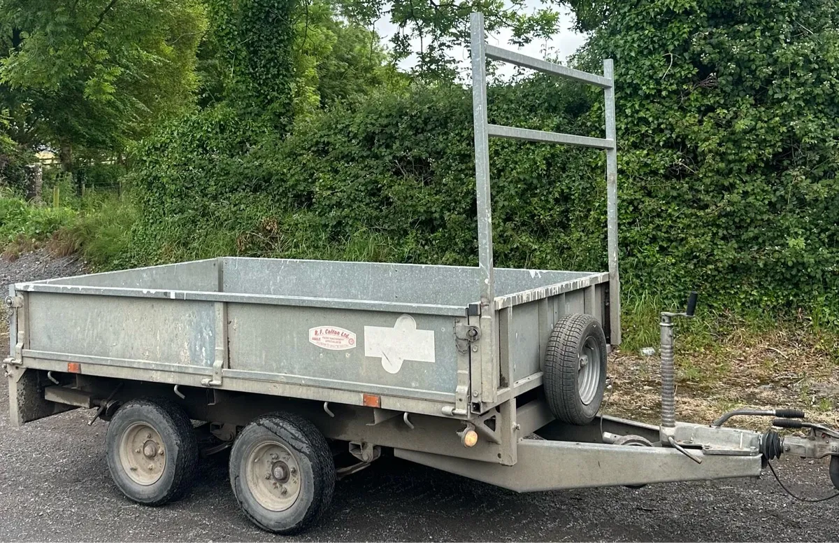 8 x 5 Nugent Trailer - Image 2